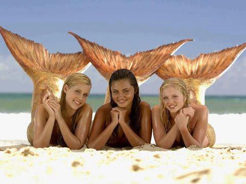 shut up and...FISH - 55718344891138847264798138026n.jpg